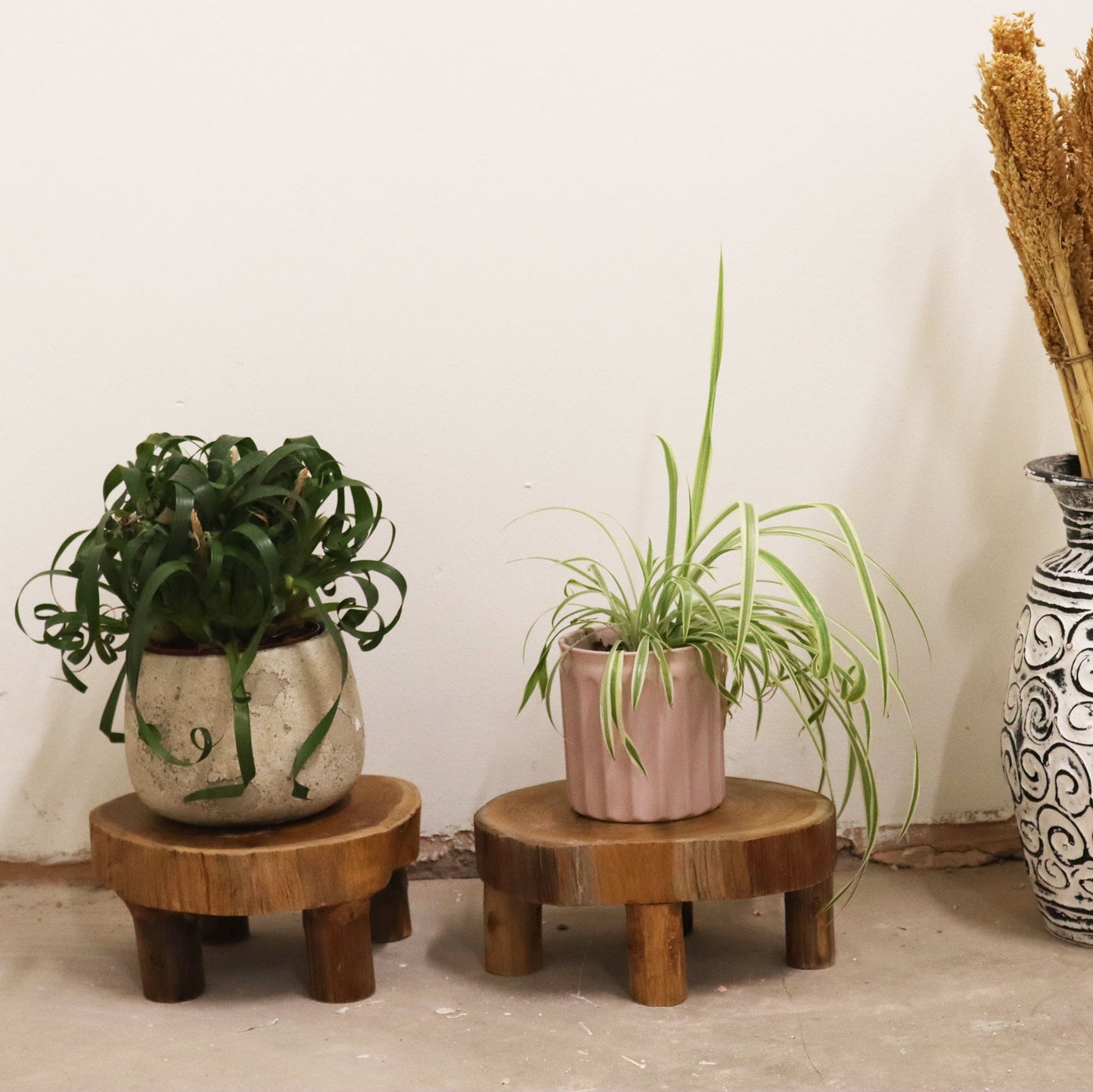 Set of 2 x Eco-Friendly Teak Plant / Display Stands - Low / Natural product packaging on clean background from Quintessential Holistic Health Ltd