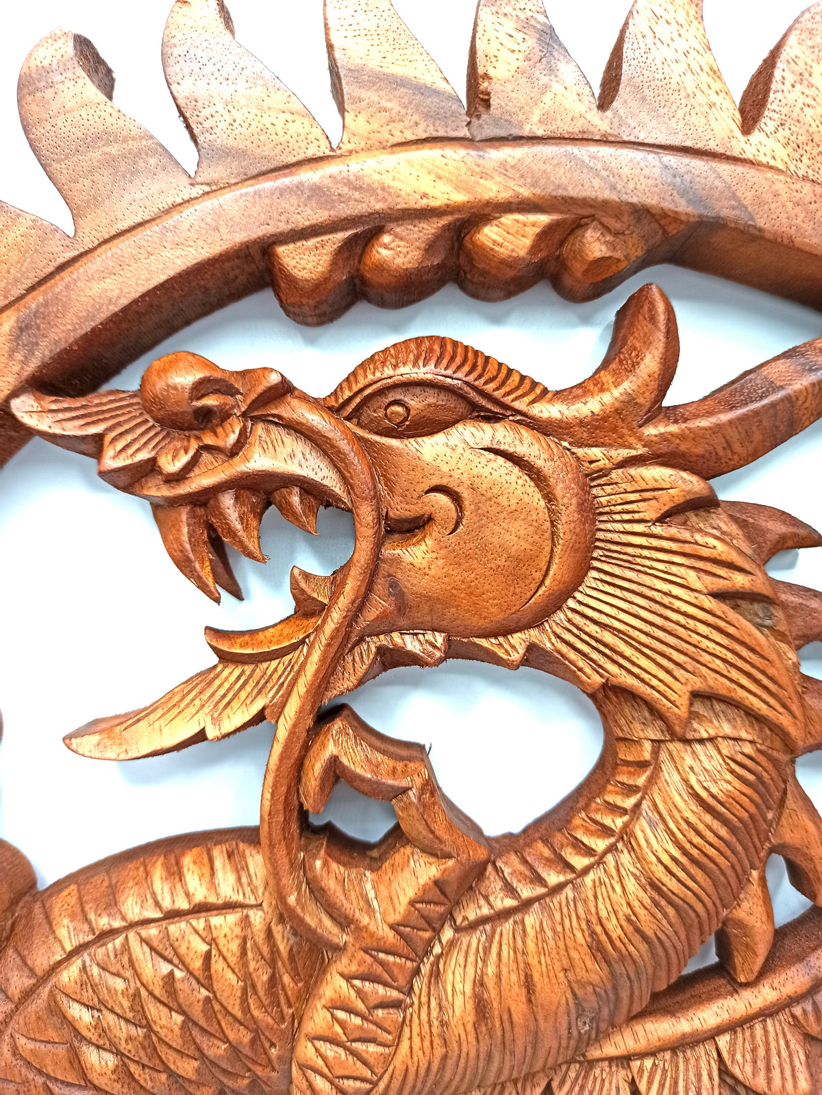 Sun Dragon - 40cm - Handmade Decorative Suar Wood Plaque showing the horned dragon head and open jaws beneath a flame-like border by Quintessential Holistic Health Ltd