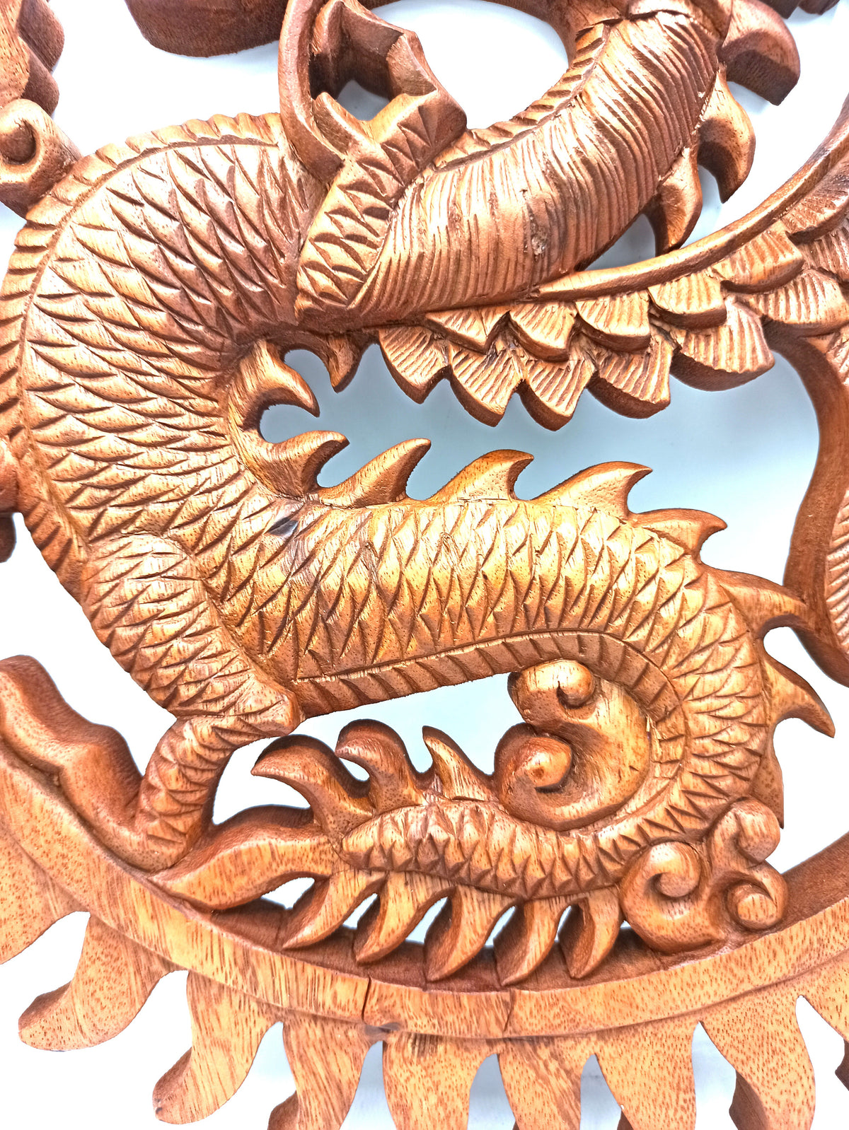 Sun Dragon - 40cm - Handmade Decorative Suar Wood Plaque showing overlapping scales, a curled body and claw details by Quintessential Holistic Health Ltd
