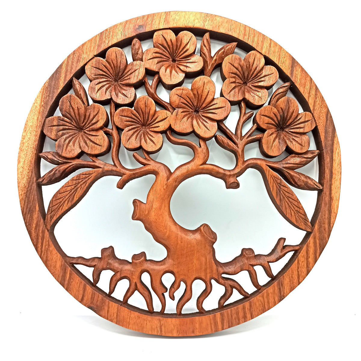 Tree of Life and Frangipani - 40cm - Handmade Suar Wood Plaque with flowering branches and exposed roots within a circular border by Quintessential Holistic Health Ltd